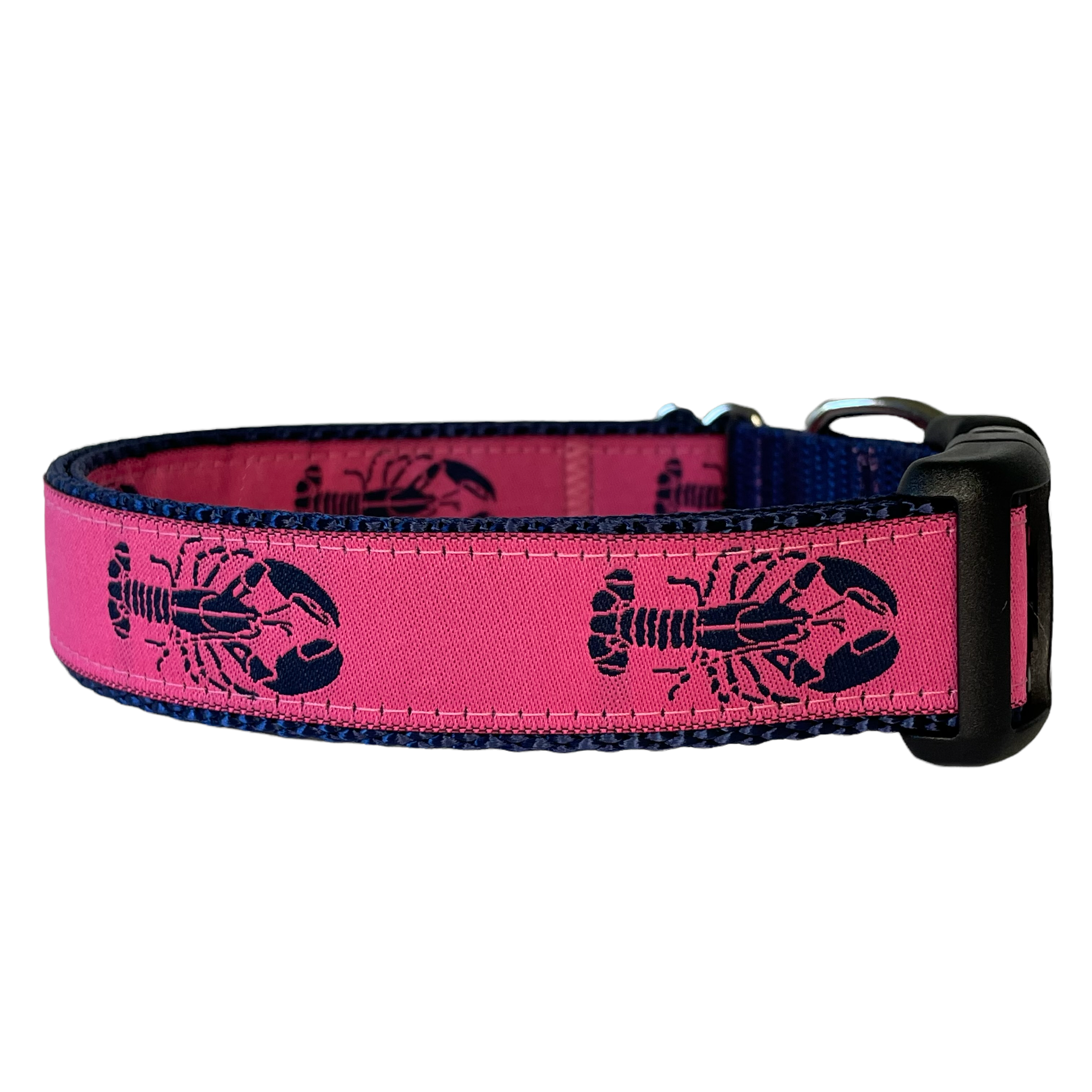 Fetch dog deals co